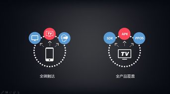 家庭互联网时代崛起 以大屏为入口，打造互联网内容全服务新生态